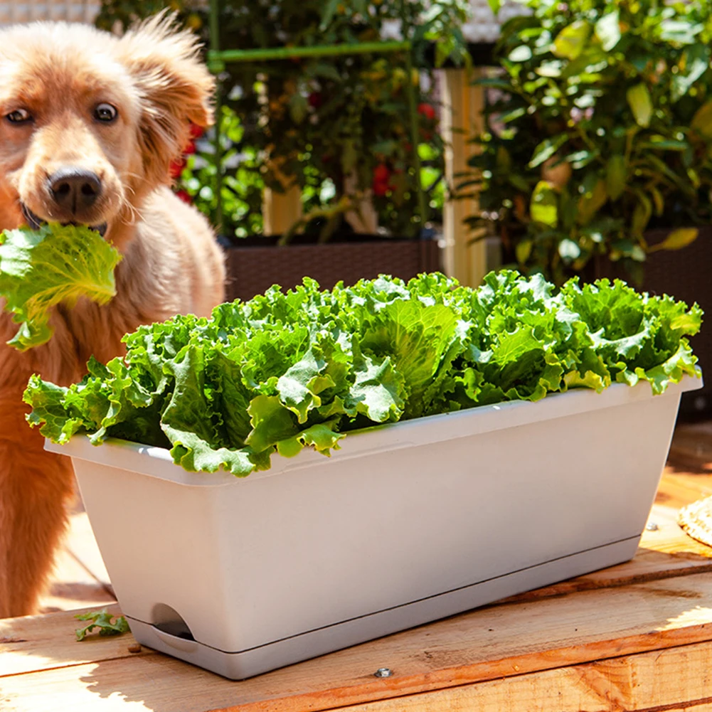 Garden Flower Pot Planters Vegetable Planting Pot Balcony Plastic Large Capacity Accessories Balcony Vegetable Planting Trough
Garden Flower Pot Planters Vegetable Planting Pot Balcony Plastic Large Capacity Accessories Balcony Vegetable Planting Trough