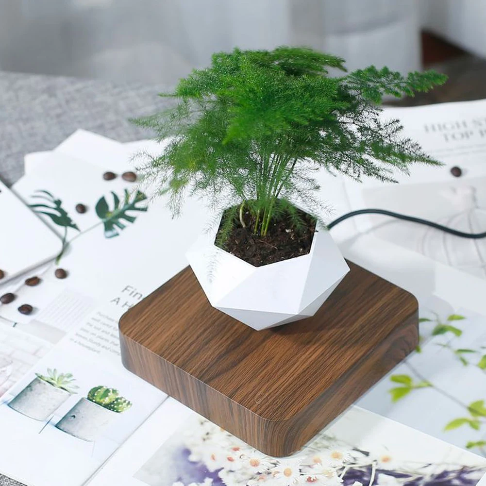 (Without plants)Rotating Flower Pot Magnetic Floating Potted Plant Home Desktop Decoration Wood Grain Plant Flower Pot
(Without plants)Rotating Flower Pot Magnetic Floating Potted Plant Home Desktop Decoration Wood Grain Plant Flower Pot