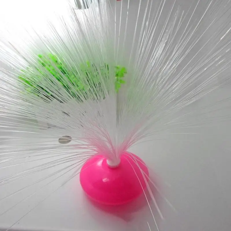 Colorful LED Optic Fiber Flower Light Star Sky Shaped Festival Atmosphere Night Lamp Valentine Day Party Home Decoration 
Colorful LED Optic Fiber Flower Light Star Sky Shaped Festival Atmosphere Night Lamp Valentine Day Party Home Decoration