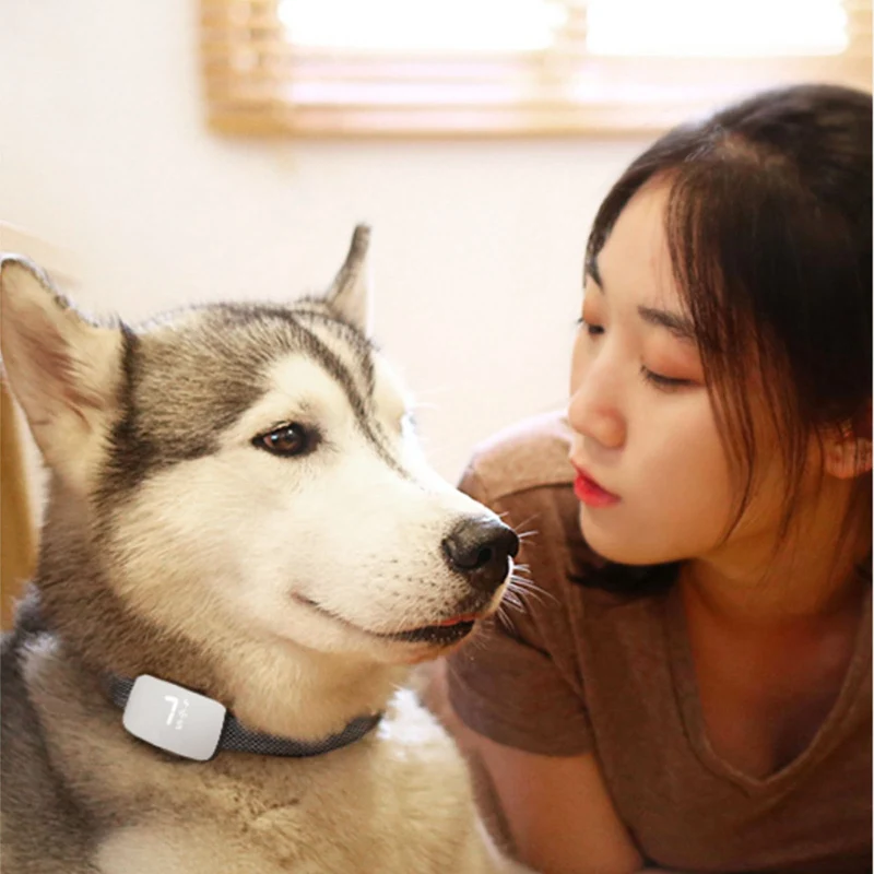 Upgraded USB Rechargeable Bark Stopper Training Dog Collar Adjustable Modes Smart Barking Retection Chip Bark Stopper Anti-bark
Upgraded USB Rechargeable Bark Stopper Training Dog Collar Adjustable Modes Smart Barking Retection Chip Bark Stopper Anti-bark