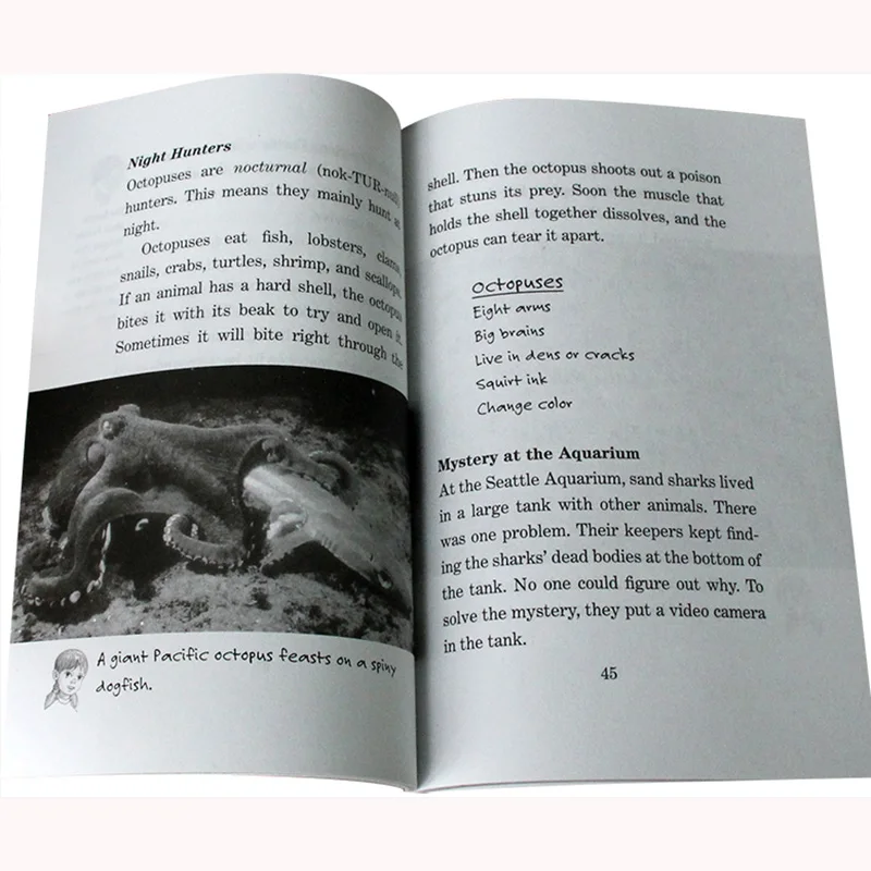 24 Books Magic Tree House Merlin Missions 1-24 English Reading Story Books Children Adventure Science Chapter Book
24 Books Magic Tree House Merlin Missions 1-24 English Reading Story Books Children Adventure Science Chapter Book