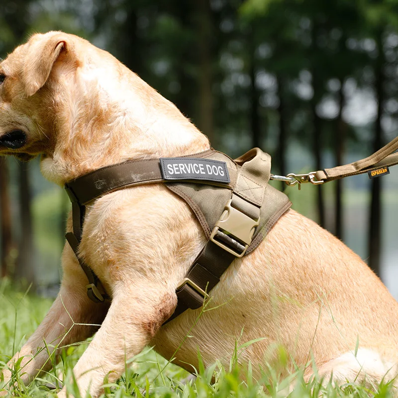 EXCELLENT ELITE SPANKER Tactical Dog Vest Pet Training Harness Dog Vests Outdoor Working/Running Dogs Harness
EXCELLENT ELITE SPANKER Tactical Dog Vest Pet Training Harness Dog Vests Outdoor Working/Running Dogs Harness