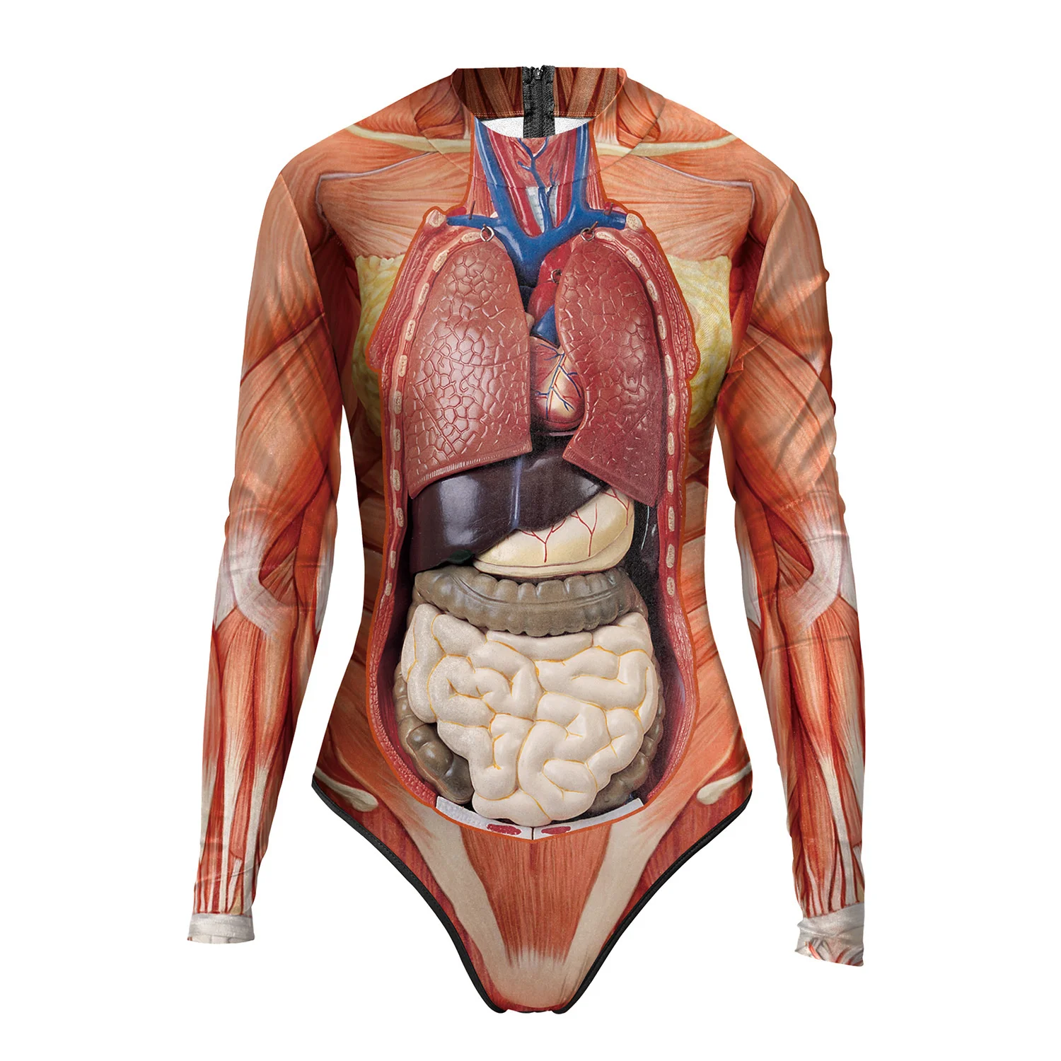 Structure Woman Human Body Tissue 3D Printing Swimsuit Tops Human Torso Human Anatomical ModelMedical Science Teaching Equipment
Structure Woman Human Body Tissue 3D Printing Swimsuit Tops Human Torso Human Anatomical ModelMedical Science Teaching Equipment