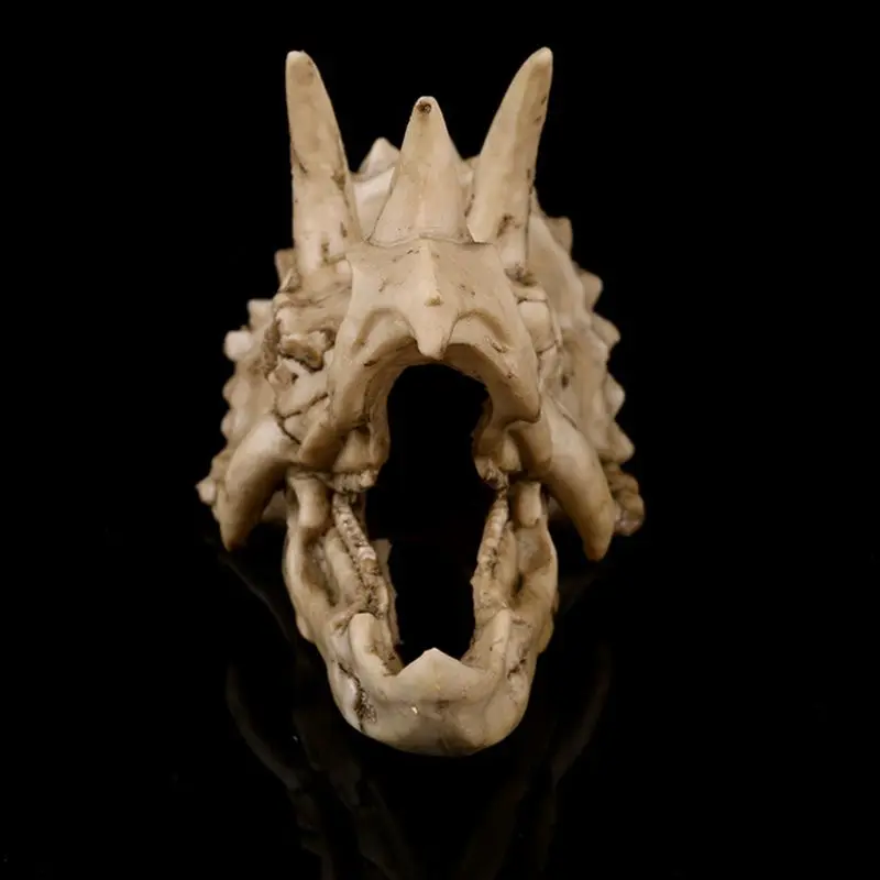 Triceratops Dinosaur Skull Resin Crafts Fossil Skeleton Teaching Model Halloween Home Office Decoration
Triceratops Dinosaur Skull Resin Crafts Fossil Skeleton Teaching Model Halloween Home Office Decoration