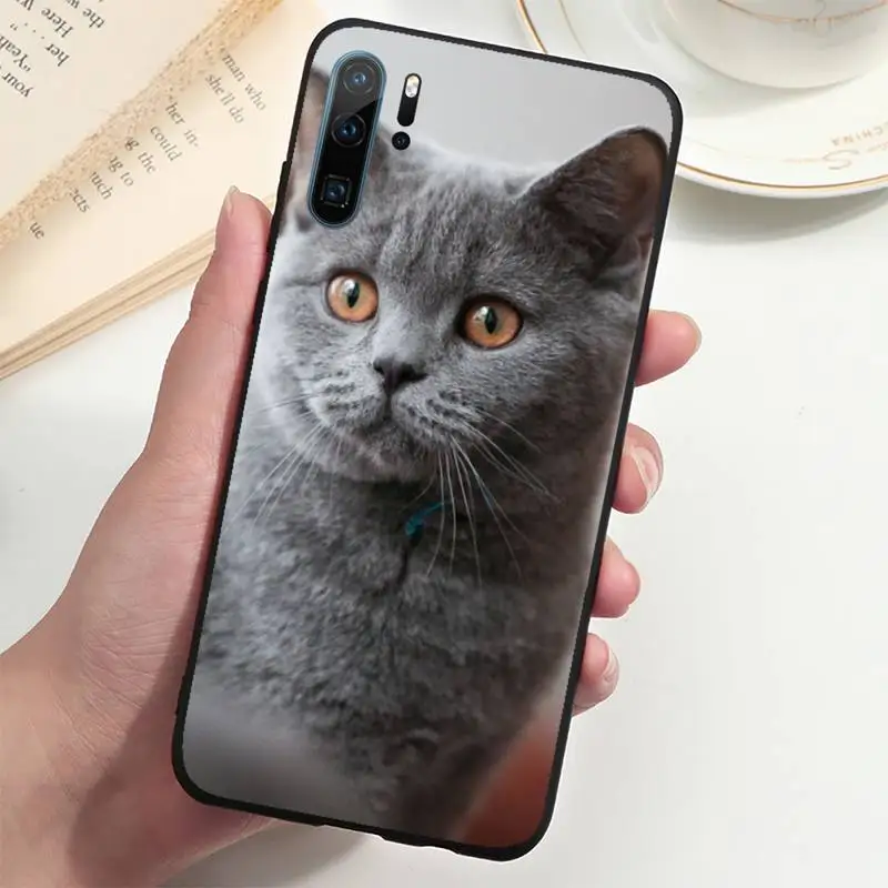 British shorthair cat Phone Case For Huawei P20 P30 P40 lite Pro P Smart 2019 Mate 10 20 Lite Pro Nova 5t
British shorthair cat Phone Case For Huawei P20 P30 P40 lite Pro P Smart 2019 Mate 10 20 Lite Pro Nova 5t