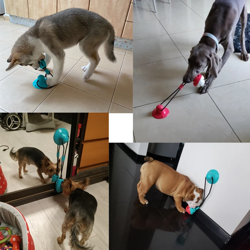 Dog Toy Silicon Suction Cup Tug Interactive Dog Ball Toys For Pet Chew Bite Tooth Cleaning Toothbrush Dogs Food Toys
Dog Toy Silicon Suction Cup Tug Interactive Dog Ball Toys For Pet Chew Bite Tooth Cleaning Toothbrush Dogs Food Toys