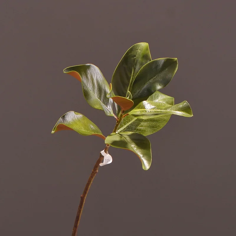 MBF 73cm Eva High Quality Artificial Magnolia Leaves Floral Material DIY For Party Home Decoration
MBF 73cm Eva High Quality Artificial Magnolia Leaves Floral Material DIY For Party Home Decoration