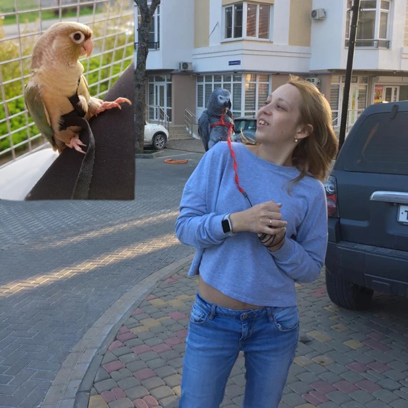 Bird Leashes Anti-bite Flying Training Rope Parrot Kits Ultralight Harness Leash Soft Portable Pet Playthings
Bird Leashes Anti-bite Flying Training Rope Parrot Kits Ultralight Harness Leash Soft Portable Pet Playthings