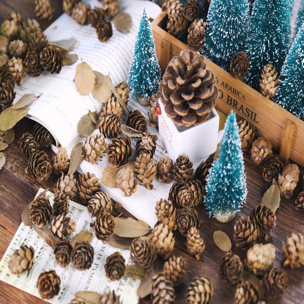 Wholesale Natural Pine Cones Dried Fruit Fotografia Accessories Tabletop Photo Shoot Photography Background Props Studio Decora
Wholesale Natural Pine Cones Dried Fruit Fotografia Accessories Tabletop Photo Shoot Photography Background Props Studio Decora