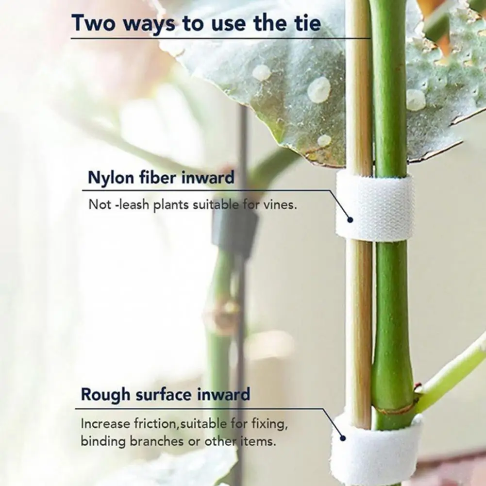 1 Roll Cable Tie Wrap Attractive Practical Adjustable Wire Tie Wrap Wide Application Anti-wear Wire Tie Wrap
1 Roll Cable Tie Wrap Attractive Practical Adjustable Wire Tie Wrap Wide Application Anti-wear Wire Tie Wrap