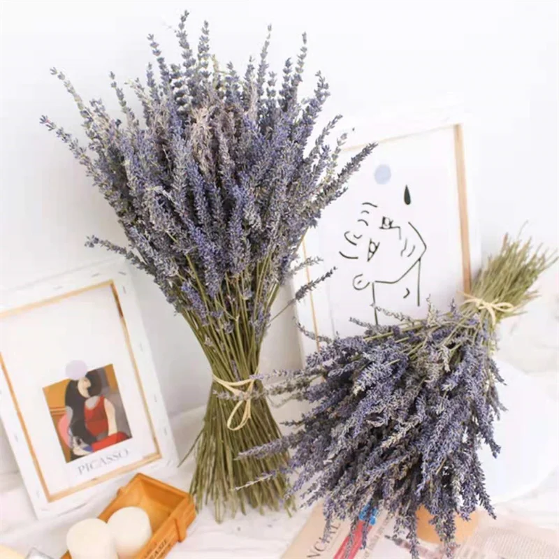80g Natural Dried Flowers Bouquet For Home Decoration Accessories Party Floral Decorative Lavender True Flower
80g Natural Dried Flowers Bouquet For Home Decoration Accessories Party Floral Decorative Lavender True Flower