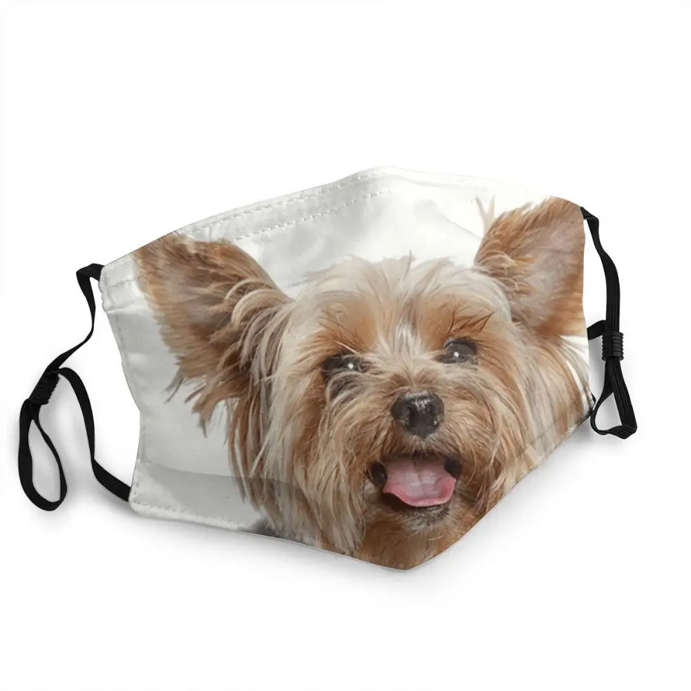 Funny Yorkshire Terrier Washable Men Mouth Face Mask Animal Pet Dog Anti Dust Protection Cover Respirator Mouth-Muffle
Funny Yorkshire Terrier Washable Men Mouth Face Mask Animal Pet Dog Anti Dust Protection Cover Respirator Mouth-Muffle