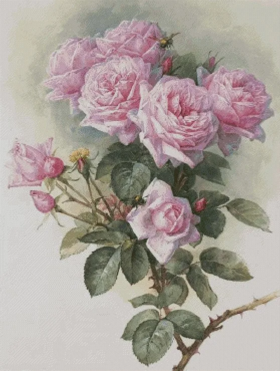 Coral Peonies Rose pink Flowers Top Quality Embroidery Needlework 14CT Unprinted Cross Stitch Kits DIY Handmade Art Home Decor
Coral Peonies Rose pink Flowers Top Quality Embroidery Needlework 14CT Unprinted Cross Stitch Kits DIY Handmade Art Home Decor