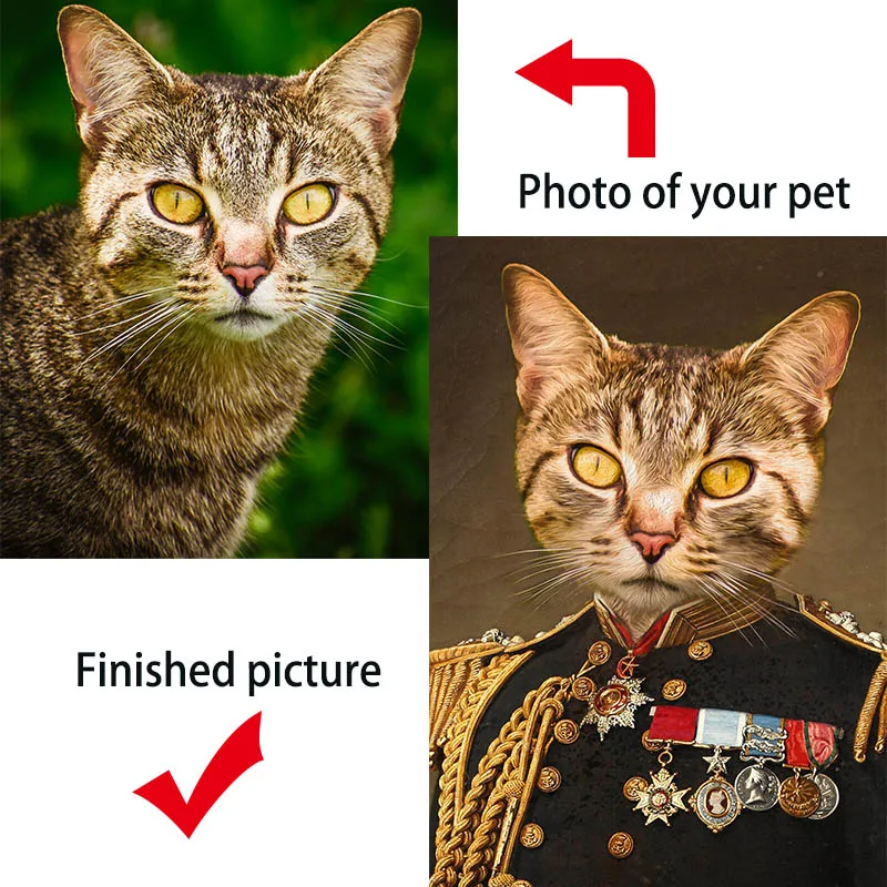 Фотография животных в ретро стиле 
Фотография животных в ретро стиле