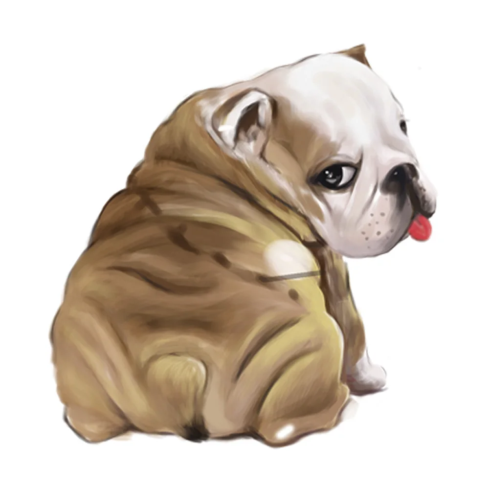 Cute Animals Stickers for A Shar-pei Dog Car Stickers Vinyl Decals Car Styling Body Window Decorations
Cute Animals Stickers for A Shar-pei Dog Car Stickers Vinyl Decals Car Styling Body Window Decorations