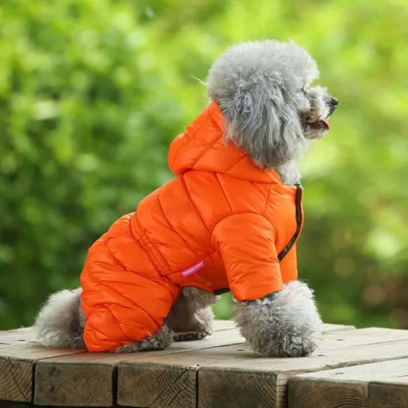 Winter Warm Down Dog Jacket Puppy Light-weight Four Legs Hoodie Coat Pet Dogs Costume Clothes For Teddy Bear Big Combinaison Ski
Winter Warm Down Dog Jacket Puppy Light-weight Four Legs Hoodie Coat Pet Dogs Costume Clothes For Teddy Bear Big Combinaison Ski
