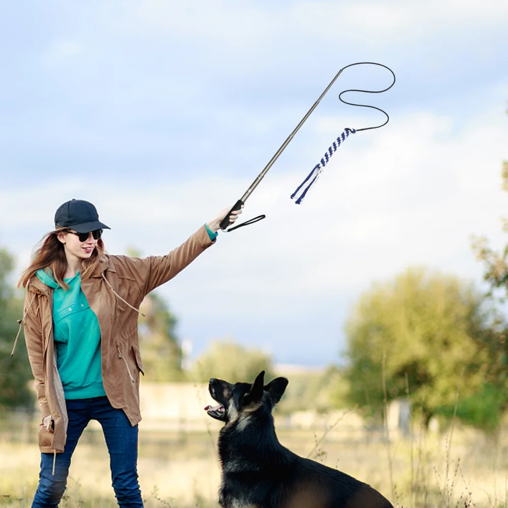 POPETPOP Interactive Dog Teaser Extendable Flirt Pole Funny Chasing Tail Teaser and Exerciser for Pets Size (Metal)
POPETPOP Interactive Dog Teaser Extendable Flirt Pole Funny Chasing Tail Teaser and Exerciser for Pets Size (Metal)