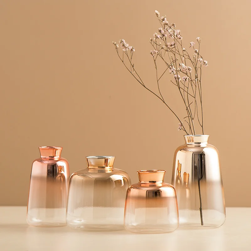 Modern Decorative Vase Glass Tabletop Vase Nordic Decoration Home Hydroponic Transparent Flowers Vases Living Room Decoration
Modern Decorative Vase Glass Tabletop Vase Nordic Decoration Home Hydroponic Transparent Flowers Vases Living Room Decoration