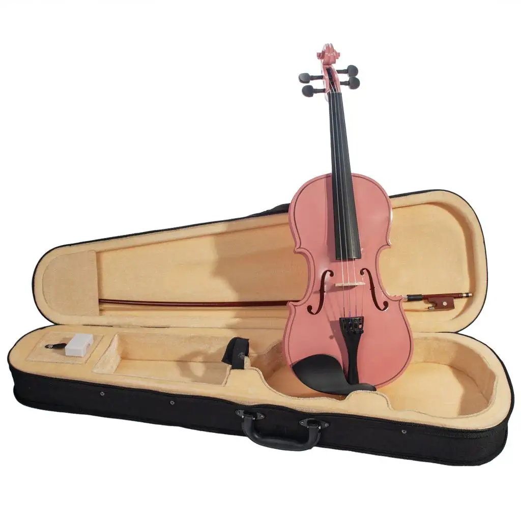 NAOMI Pink Acoustic Violin 4/4 Basswood Ebony Fingerboard Fiddle Musical Instruments For Beginners Students
NAOMI Pink Acoustic Violin 4/4 Basswood Ebony Fingerboard Fiddle Musical Instruments For Beginners Students