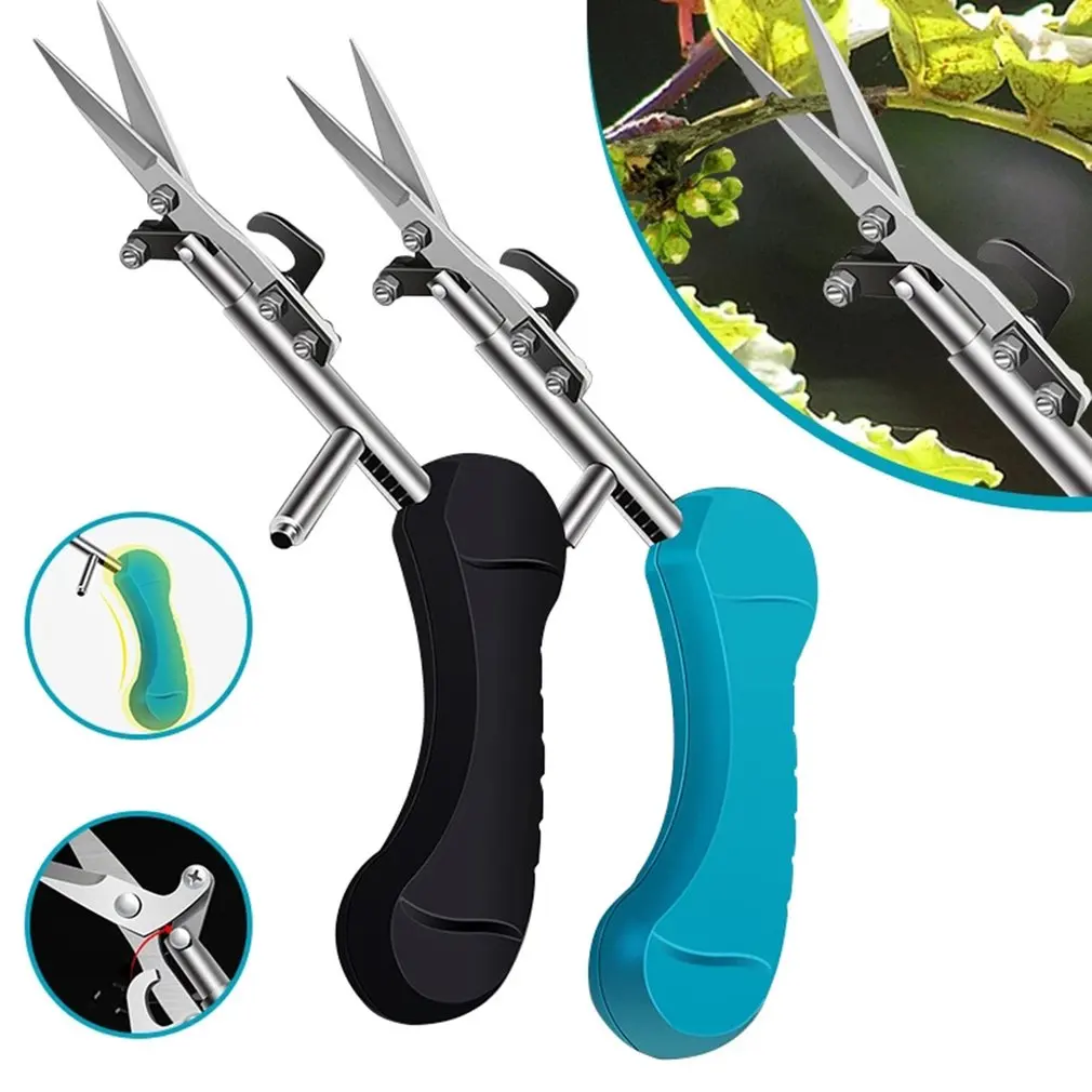 Chrome Plating Plant Trim Horticulture Hand Pruner Cut Secateur Shrub Garden Scissor Tool Fruit Picking Scissors Pruning Shears
Chrome Plating Plant Trim Horticulture Hand Pruner Cut Secateur Shrub Garden Scissor Tool Fruit Picking Scissors Pruning Shears