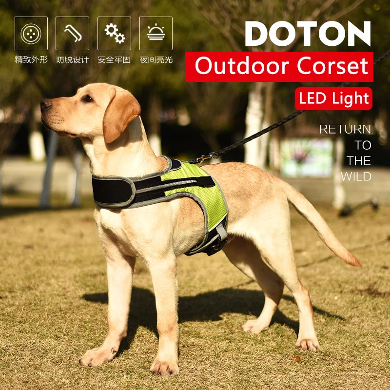 Светодиодная Светоотражающая дышащая и удобная сетка для собак, регулируемая, подходит для больших фотографий 
Светодиодная Светоотражающая дышащая и удобная сетка для собак, регулируемая, подходит для больших фотографий