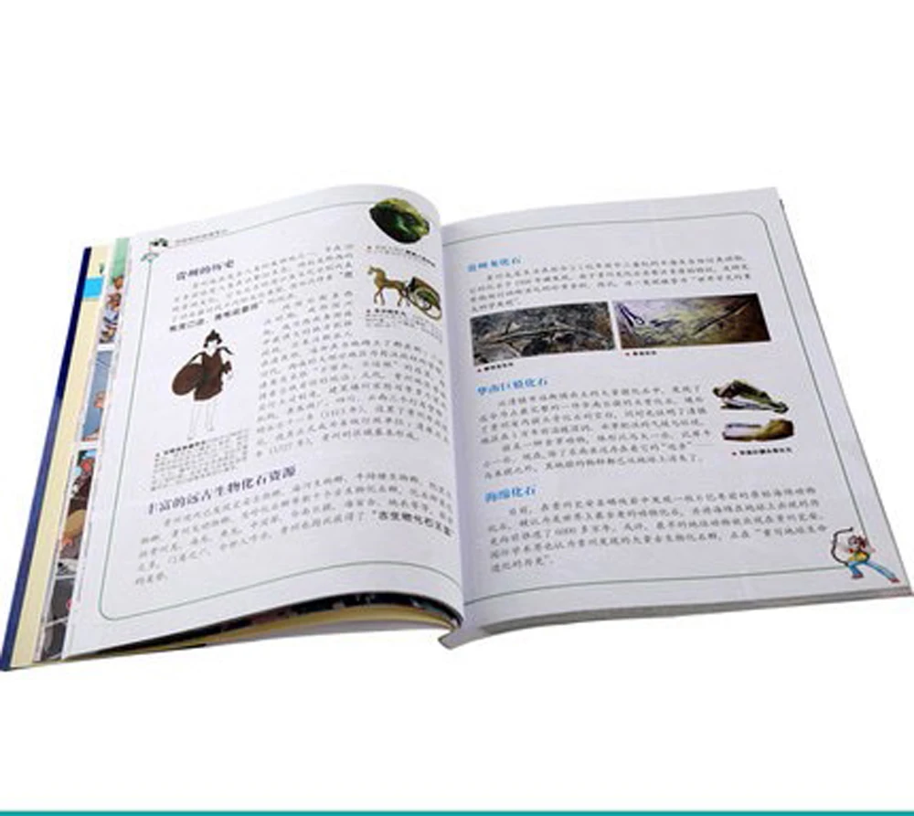 Manga Book My First Scientific Comic Book 27 Hainan Treasure Hunt Comic Painting Cartton Book
Manga Book My First Scientific Comic Book 27 Hainan Treasure Hunt Comic Painting Cartton Book