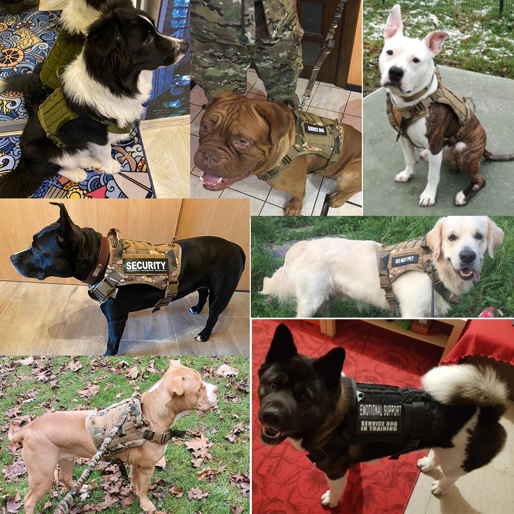 Tactical Dog Harness Training Molle System Vest Pet Dog Slingshot Harness And Leash Set For Small Medium Big Dogs Accessories
Tactical Dog Harness Training Molle System Vest Pet Dog Slingshot Harness And Leash Set For Small Medium Big Dogs Accessories