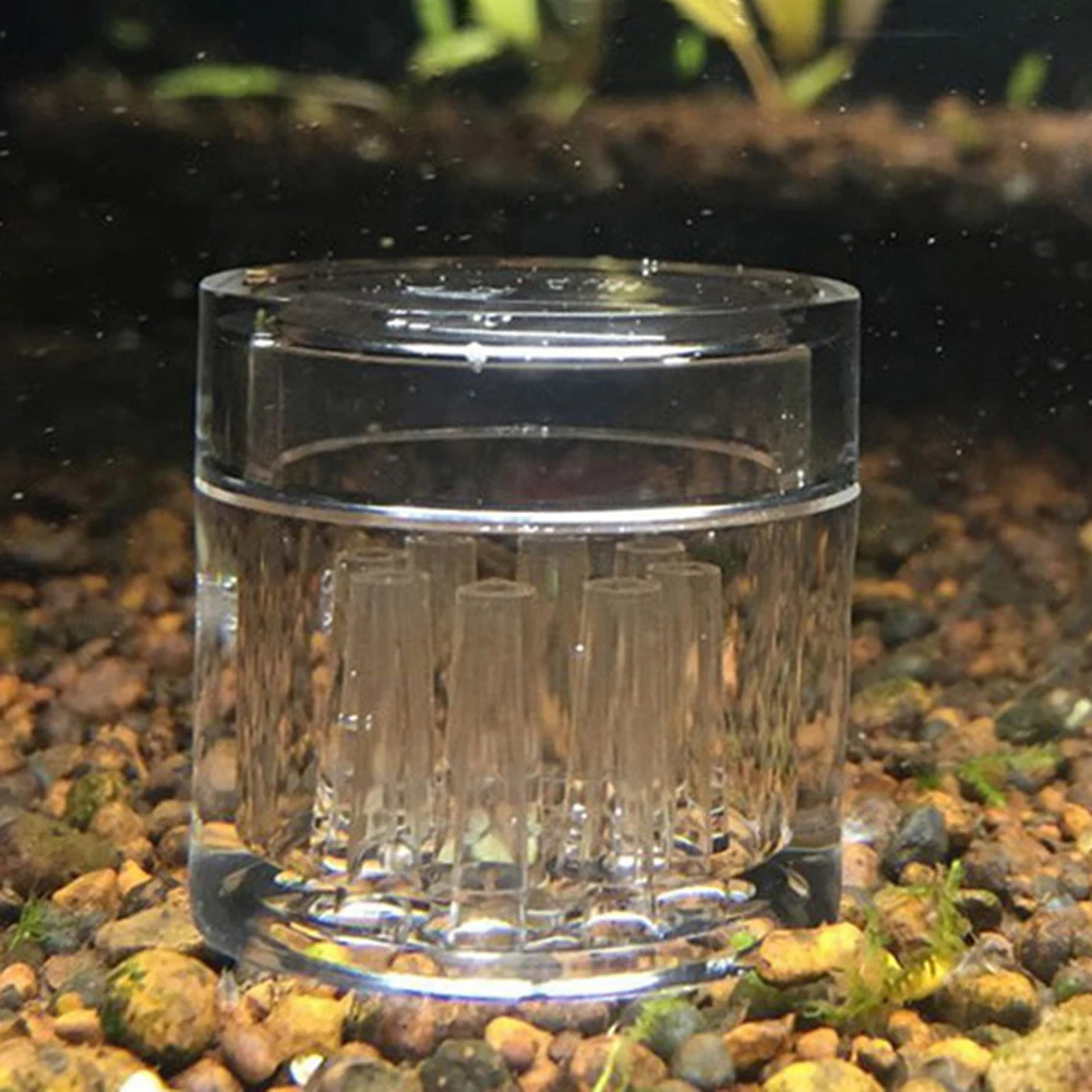 8 Holes Acrylic Aquarium Tank Trap Tube Catcher Trapper for Catching Planaria Worm Leech Pet Product Vortex Insect Tube Trapper
8 Holes Acrylic Aquarium Tank Trap Tube Catcher Trapper for Catching Planaria Worm Leech Pet Product Vortex Insect Tube Trapper