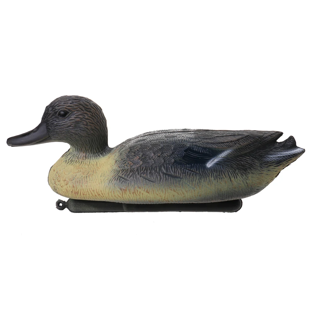 Pack of 3pcs, Duck Hunting Decoys Drake Hunting Baits Garden Decors Realistic Ornaments
Pack of 3pcs, Duck Hunting Decoys Drake Hunting Baits Garden Decors Realistic Ornaments