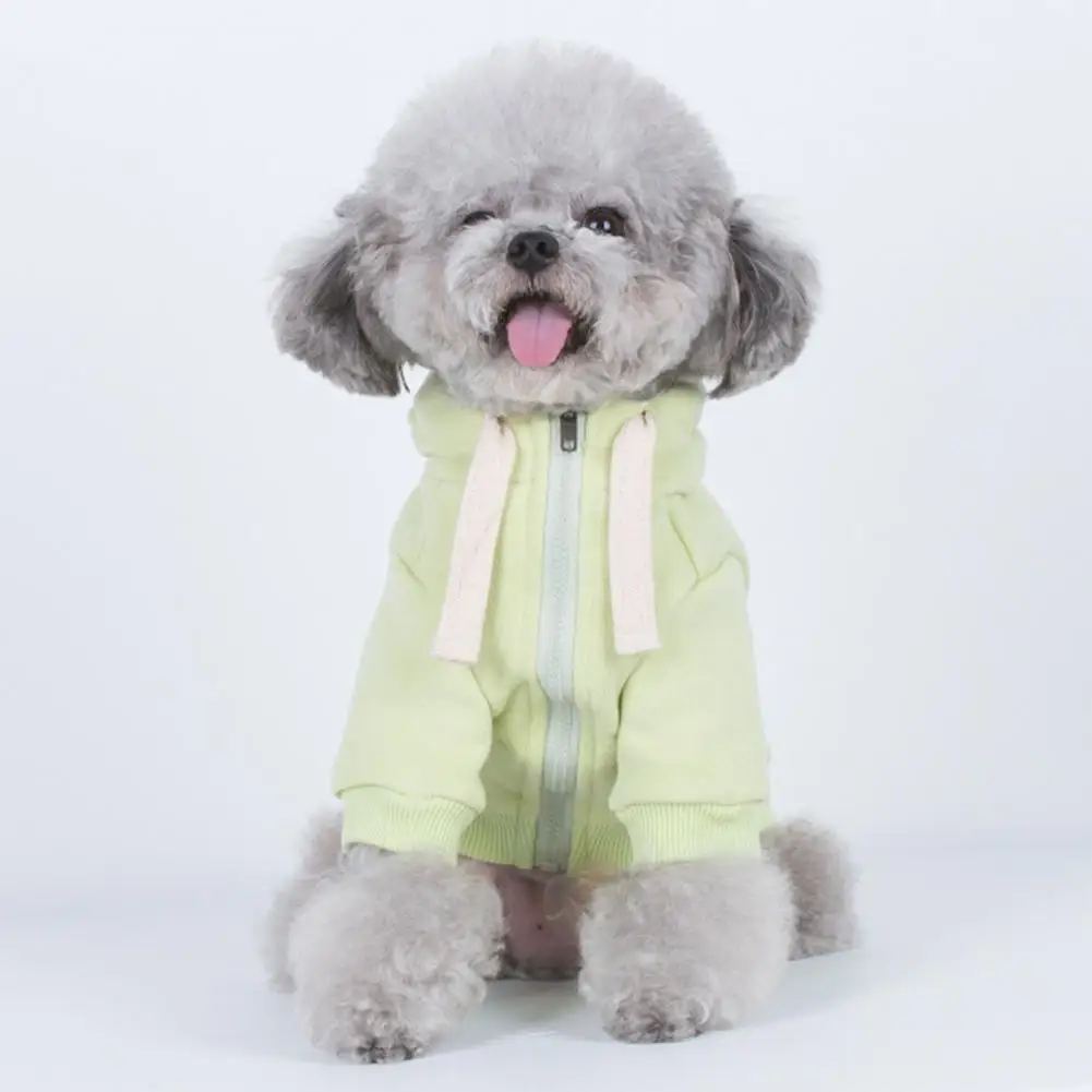 Puppy Coat Pet 2-Legged Warm Clothes Dog Winter Apparel Pet Hoodie Excellent Pet Clothes
Puppy Coat Pet 2-Legged Warm Clothes Dog Winter Apparel Pet Hoodie Excellent Pet Clothes