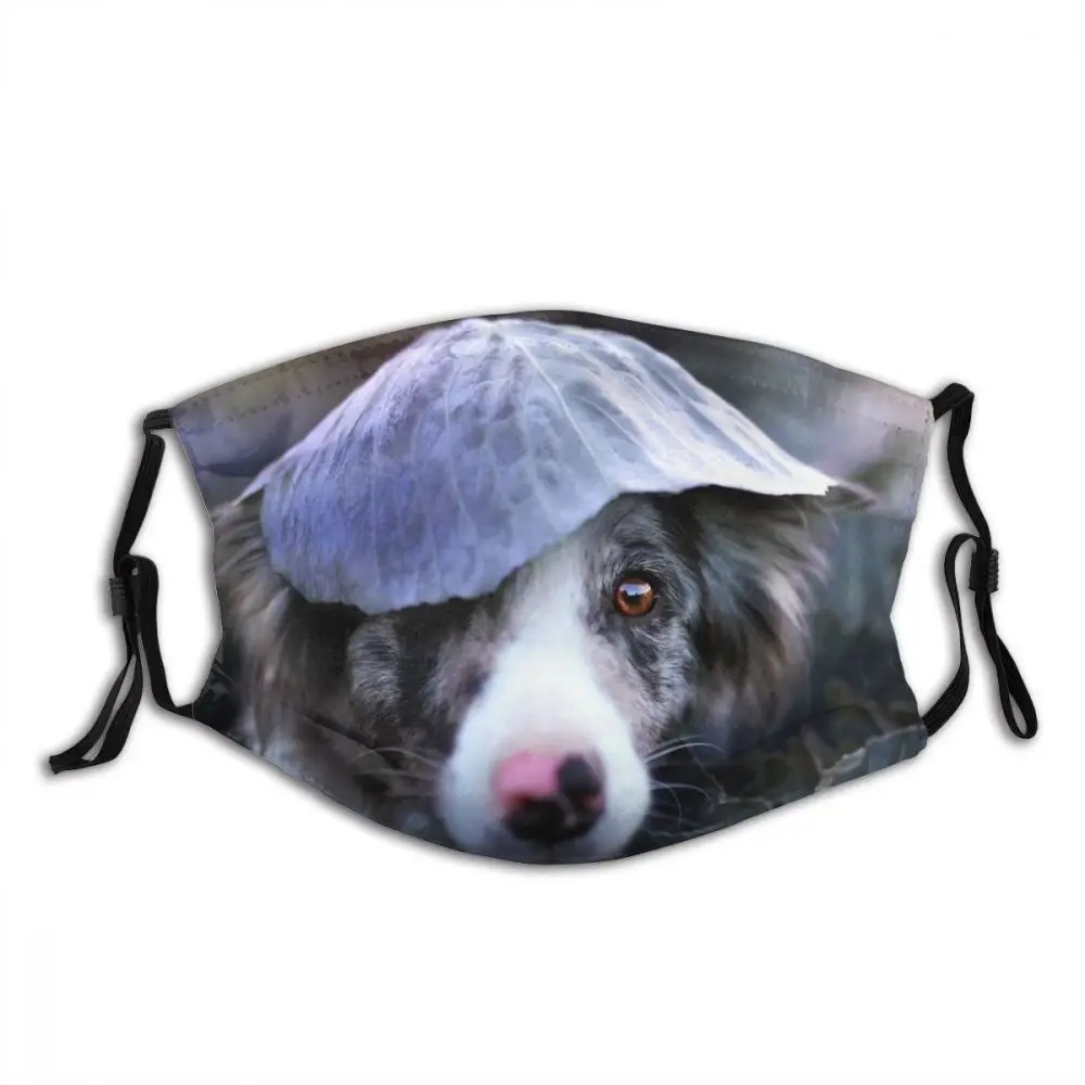 Одноразовая маска для рта и лица Border Collie, цельная Пылезащитная маска против смога с фильтрами, защитная маска, респиратор, маска
Одноразовая маска для рта и лица Border Collie, цельная Пылезащитная маска против смога с фильтрами, защитная маска, респиратор, маска