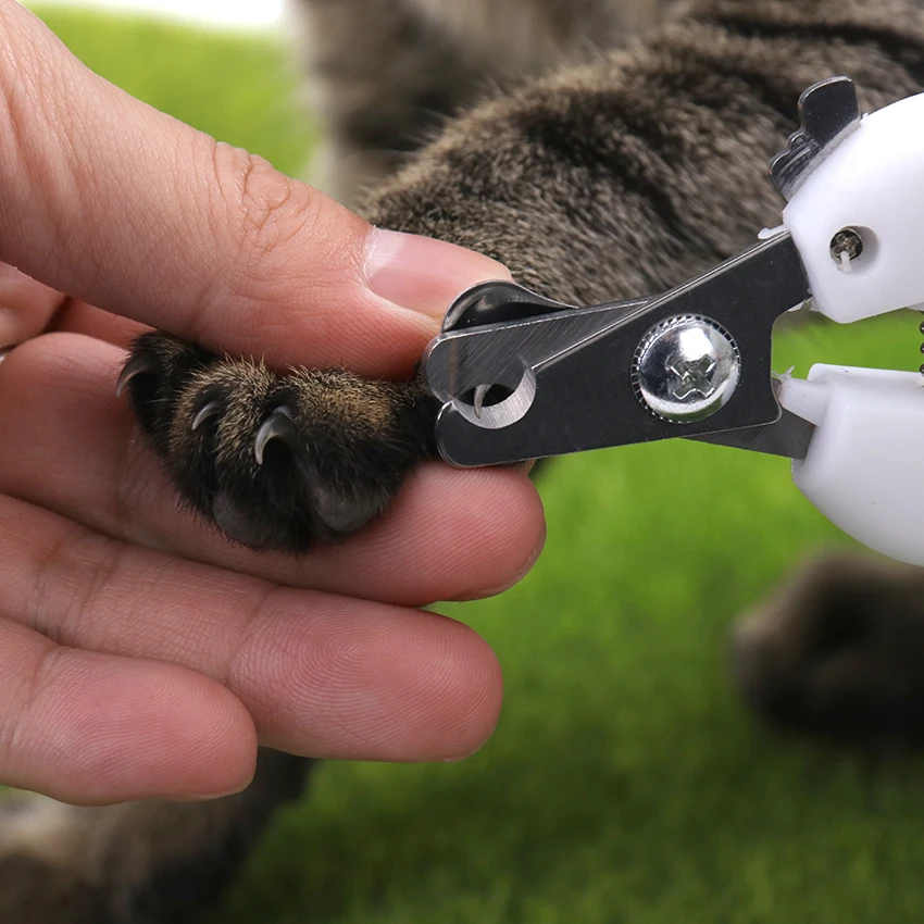 1PC Professional Pet Nail Clippers Dog Cat Stainless Steel Two-color Labor-Saving Nail Clippers Beauty Cleaning Supplies
1PC Professional Pet Nail Clippers Dog Cat Stainless Steel Two-color Labor-Saving Nail Clippers Beauty Cleaning Supplies