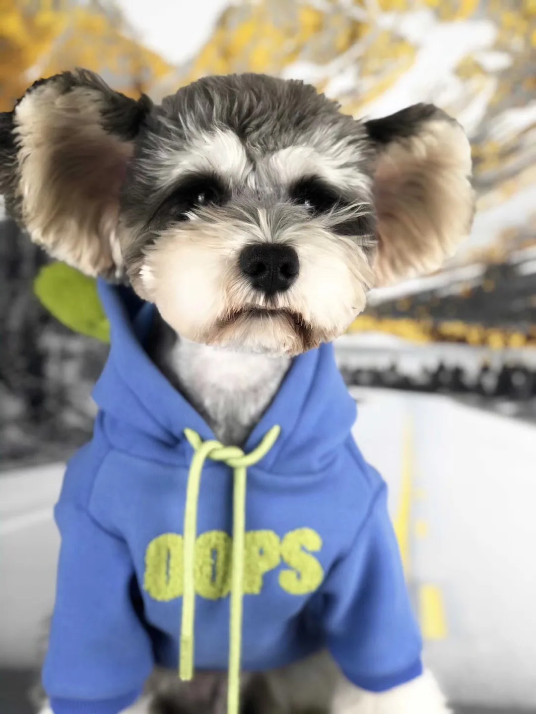 Pet Dog Clothes Winter Warm Dog Coat Jacket for Dogs Hoodie Soft French Bulldog Clothes for Dogs Chihuahua Ropa Perro
Pet Dog Clothes Winter Warm Dog Coat Jacket for Dogs Hoodie Soft French Bulldog Clothes for Dogs Chihuahua Ropa Perro