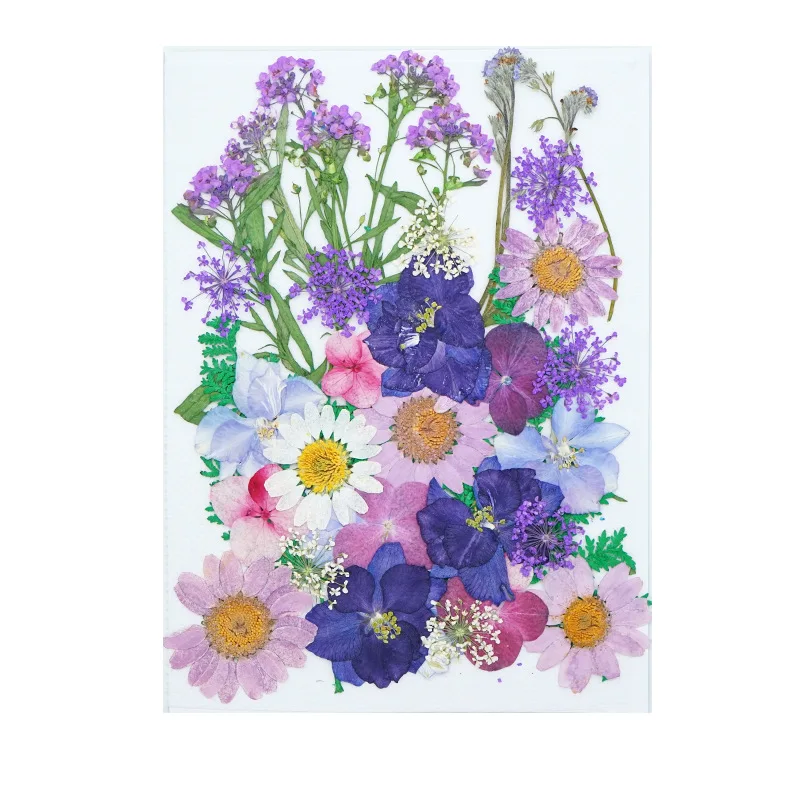 Nail dry flower DIY embossing photo embossing bookmark embossing bag embossing painting material real flower drop glue dry l
Nail dry flower DIY embossing photo embossing bookmark embossing bag embossing painting material real flower drop glue dry l