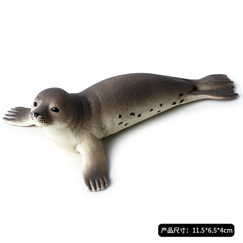 

Solid Simulated Marine Animal Seal Seabed Biological Model Children'S Early Education Cognitive Toy Ornament Scientific marine