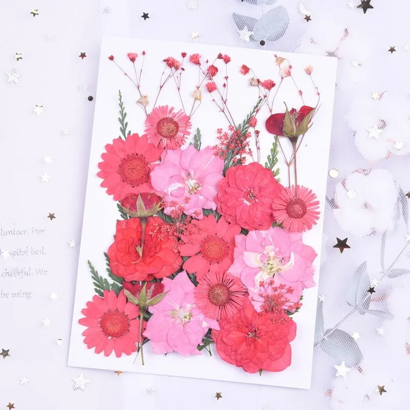 26pcs/pack Red Dried Flowers Plants DIY Resin Mold Fills Epoxy UV Handmade Craft Nail Art Decoration For Jewelry Making
26pcs/pack Red Dried Flowers Plants DIY Resin Mold Fills Epoxy UV Handmade Craft Nail Art Decoration For Jewelry Making