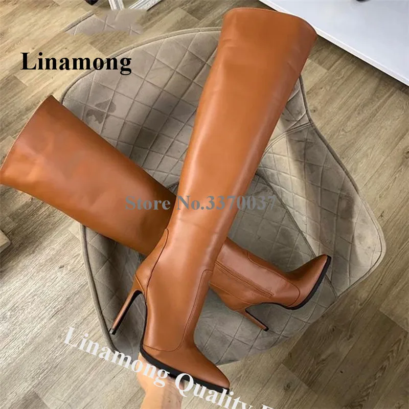 Linamong Newest Pointed Toe Brown Leather Knee High Boots Slim New Design Stiletto Heel Long Boots Runway Shoes Big Size
Linamong Newest Pointed Toe Brown Leather Knee High Boots Slim New Design Stiletto Heel Long Boots Runway Shoes Big Size