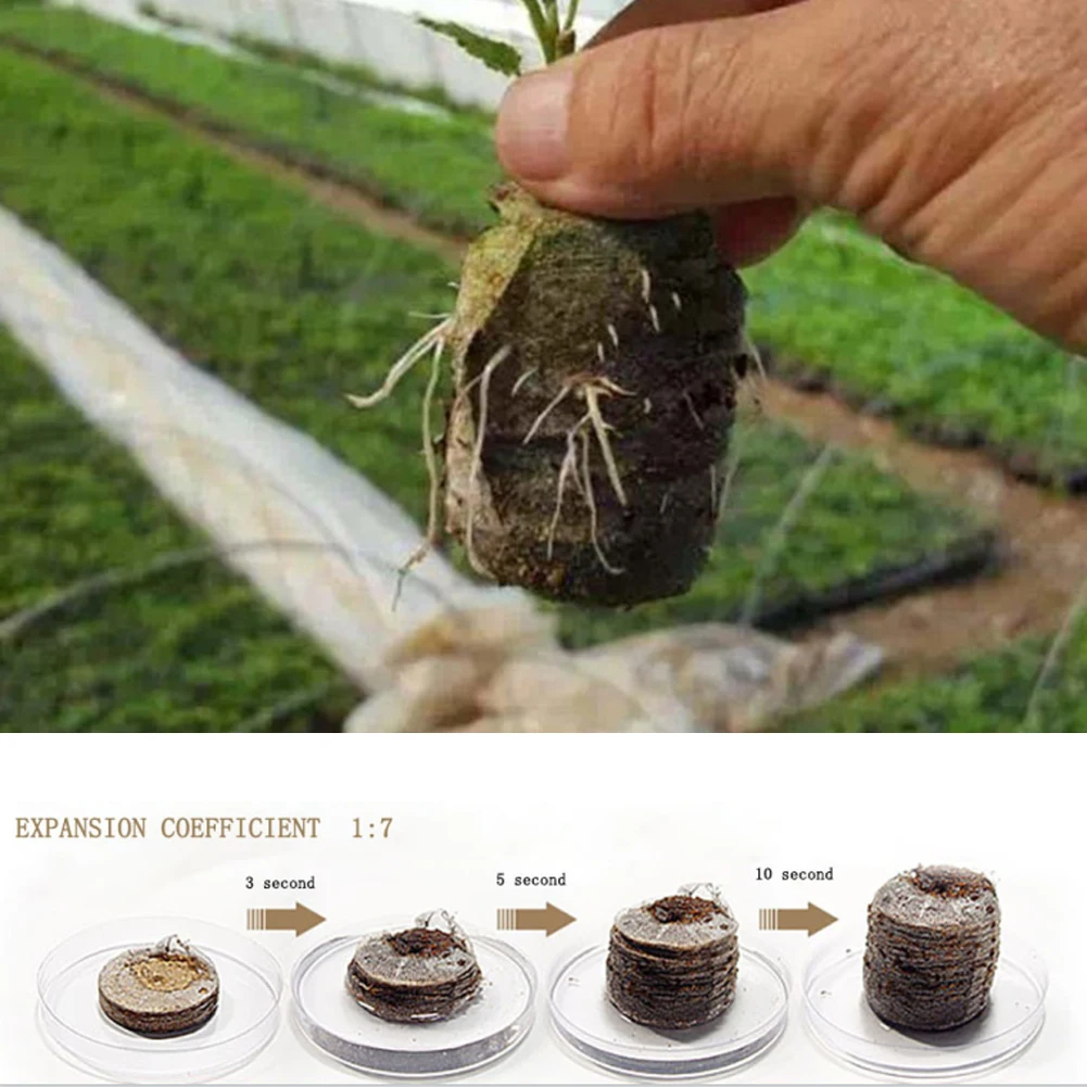 20pcs Peat Pellets Plant Seedling Soil Blocks Tray Nutrition Block Seed Starter Soil Plugs Garden Greenhouse Tools 30mm
20pcs Peat Pellets Plant Seedling Soil Blocks Tray Nutrition Block Seed Starter Soil Plugs Garden Greenhouse Tools 30mm