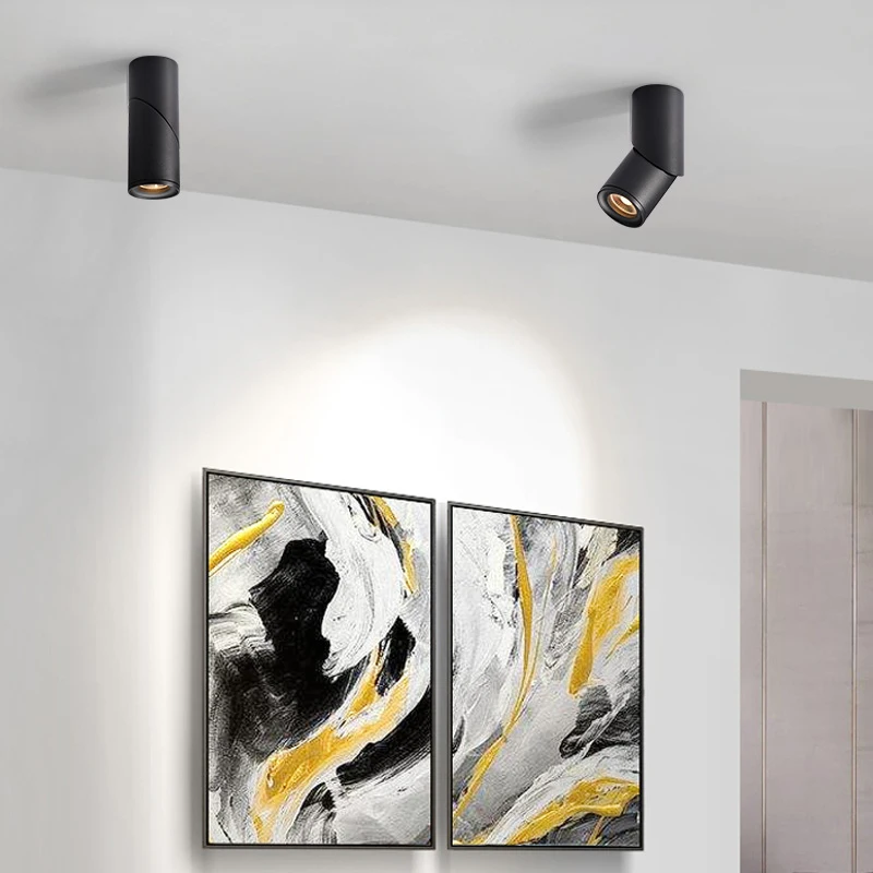 Dimmable Rotating LED Downlights 10W15W20W COB LED Ceiling Spot Lights AC110-220V LED Wall Lamp Warm Cold White Indoor Lighting
Dimmable Rotating LED Downlights 10W15W20W COB LED Ceiling Spot Lights AC110-220V LED Wall Lamp Warm Cold White Indoor Lighting