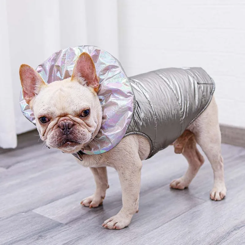 Fashion Winter Outfit for Pet Dog Coat Jacket with Bubble Collar For Dog Cats Waterproof Cold Weather Vest Warm French Bulldogv
Fashion Winter Outfit for Pet Dog Coat Jacket with Bubble Collar For Dog Cats Waterproof Cold Weather Vest Warm French Bulldogv