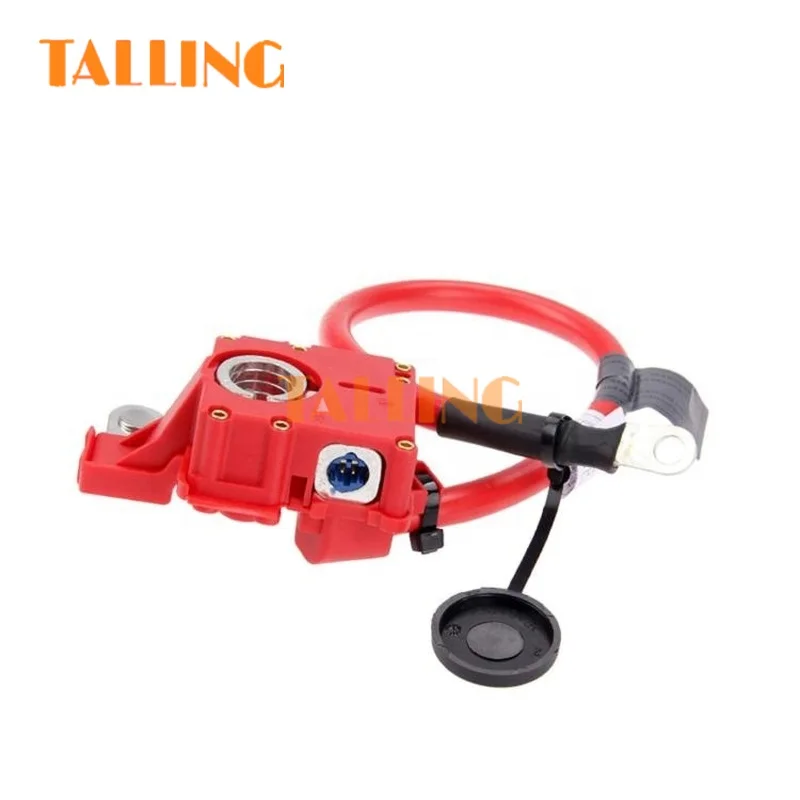 61129217031 Positive Battery Cable FOR BM-W E84 E92 E82 X1 E88 E90 E91 Car Accessories
61129217031 Positive Battery Cable FOR BM-W E84 E92 E82 X1 E88 E90 E91 Car Accessories