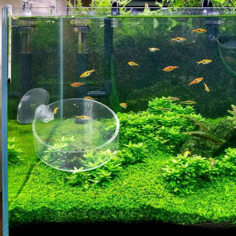 New Arrival Fish Tank Feeder Aquarium Shrimp Glass Feeding Bowl Clear Dish Tray 
New Arrival Fish Tank Feeder Aquarium Shrimp Glass Feeding Bowl Clear Dish Tray