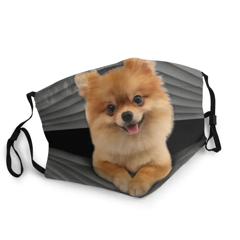 Funny Pomeranian Mask Men Women Anti Haze Dust Love Puppy Dog Mask Protection Cover Respirator Reusable Mouth Muffle
Funny Pomeranian Mask Men Women Anti Haze Dust Love Puppy Dog Mask Protection Cover Respirator Reusable Mouth Muffle