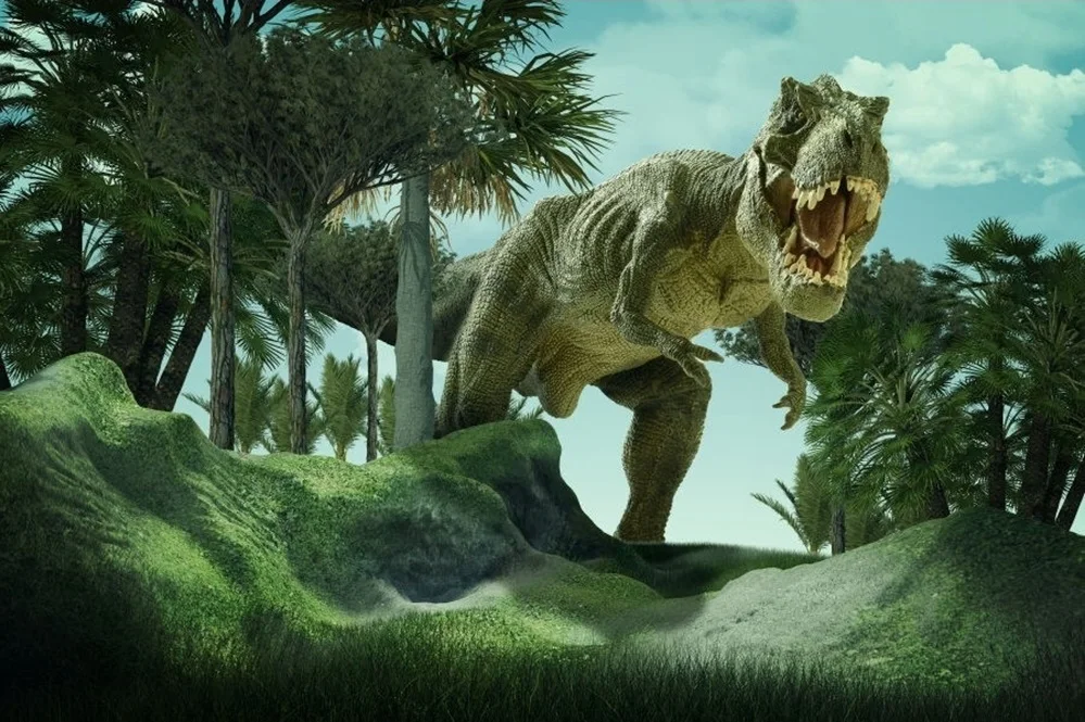 Photophone Photocall Dinosaur Backdrops Child Birthday Party Banner Jurassic Park Theme Photo Background Photography Studio 
Photophone Photocall Dinosaur Backdrops Child Birthday Party Banner Jurassic Park Theme Photo Background Photography Studio