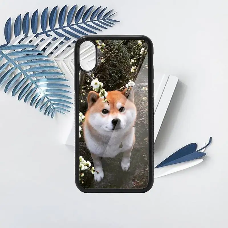 shiba inu cute animal dog Phone Case PC for iPhone 11 12 pro XS MAX 8 7 6 6S Plus X 5S SE 2020 XR
shiba inu cute animal dog Phone Case PC for iPhone 11 12 pro XS MAX 8 7 6 6S Plus X 5S SE 2020 XR