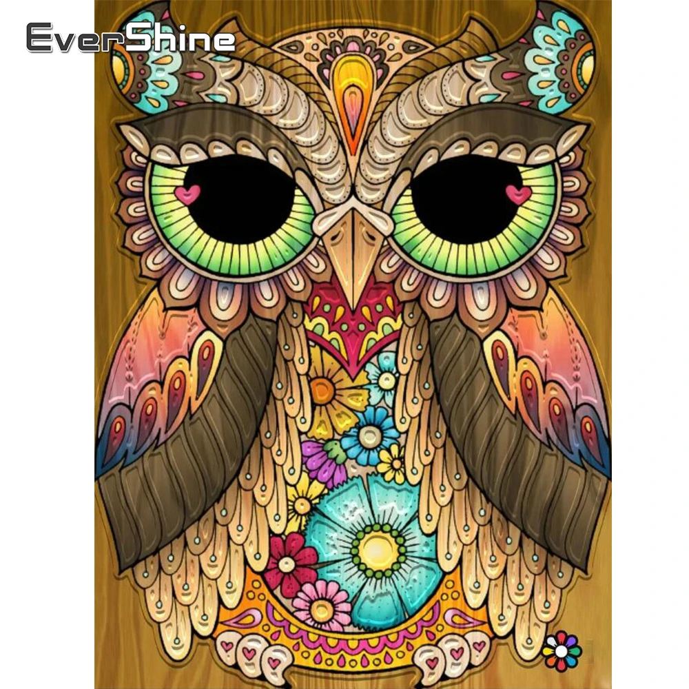 Evershine 5D DIY полная площадь Круглый Алмазная мозаика сова вышивка крестом картина стразы Алмазный вышивка животные декор для дома
Evershine 5D DIY полная площадь Круглый Алмазная мозаика сова вышивка крестом картина стразы Алмазный вышивка животные декор для дома