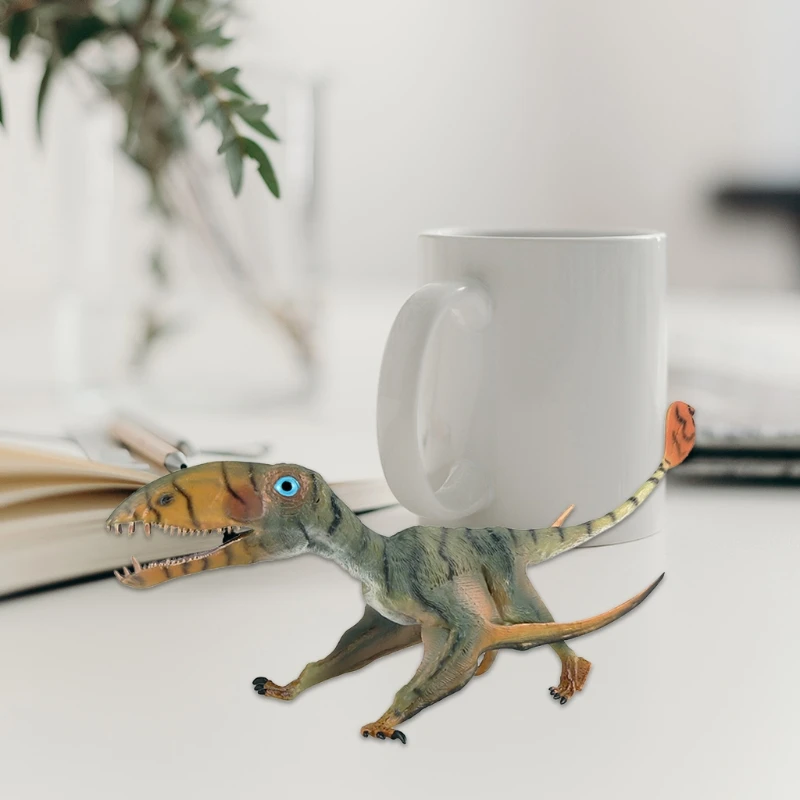 Static Carnivorous Simulation Dinosaur Models for Over 3 Years Old Children 69HE
Static Carnivorous Simulation Dinosaur Models for Over 3 Years Old Children 69HE