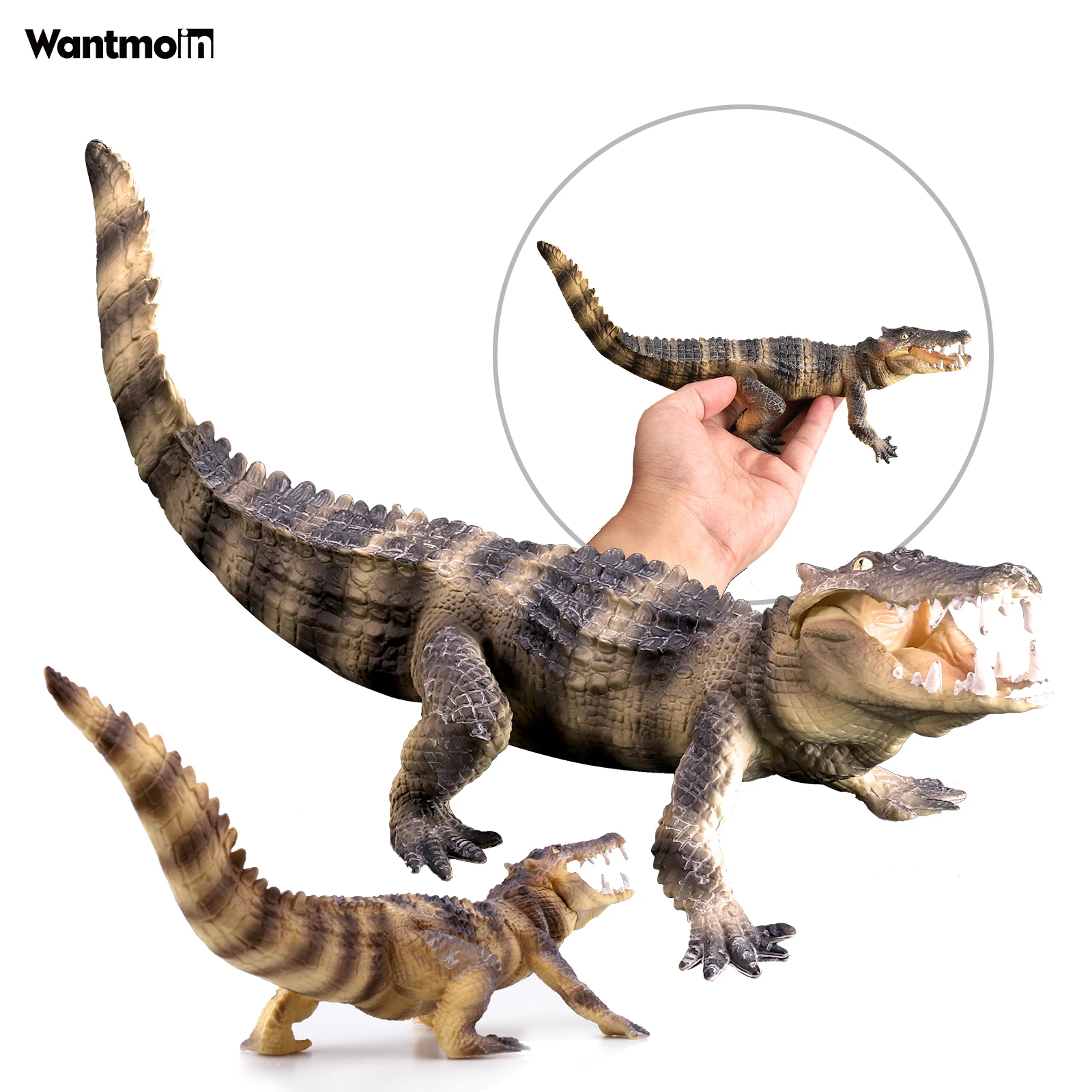 Wantmoin Plastic Wild Savage Sarcosuchus,caiman,Boar Croc,Crocodile Action Figures Educational Collection Toys For Kids
Wantmoin Plastic Wild Savage Sarcosuchus,caiman,Boar Croc,Crocodile Action Figures Educational Collection Toys For Kids