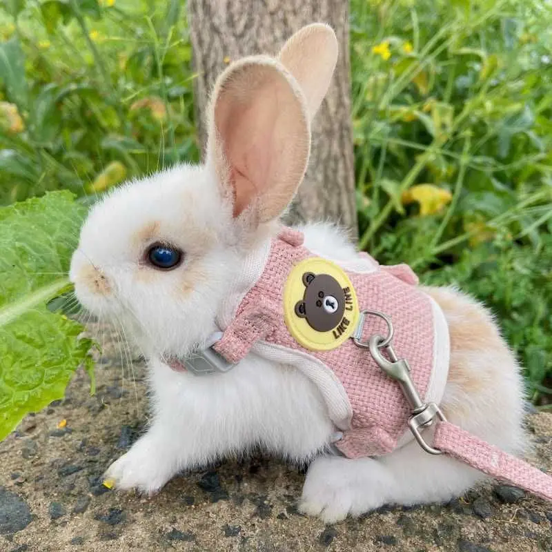 Rabbits Accessories Bunny Collar Animal Harness Cat Leash Adjustable Soft Leash Cute Vest Ferret Kitten Guinea Pig Walking Lead
Rabbits Accessories Bunny Collar Animal Harness Cat Leash Adjustable Soft Leash Cute Vest Ferret Kitten Guinea Pig Walking Lead