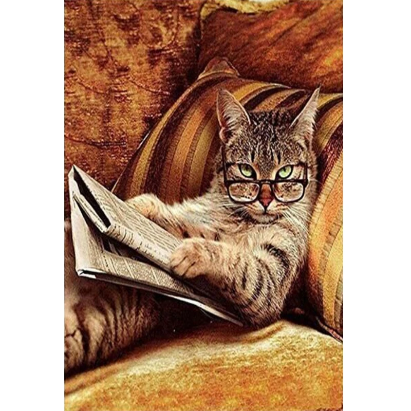 Cute Paints By Numbers Animals Cat reading Oil Painting Flowers Interesting Scene DIY Paintings For Children Girl Dating
Cute Paints By Numbers Animals Cat reading Oil Painting Flowers Interesting Scene DIY Paintings For Children Girl Dating